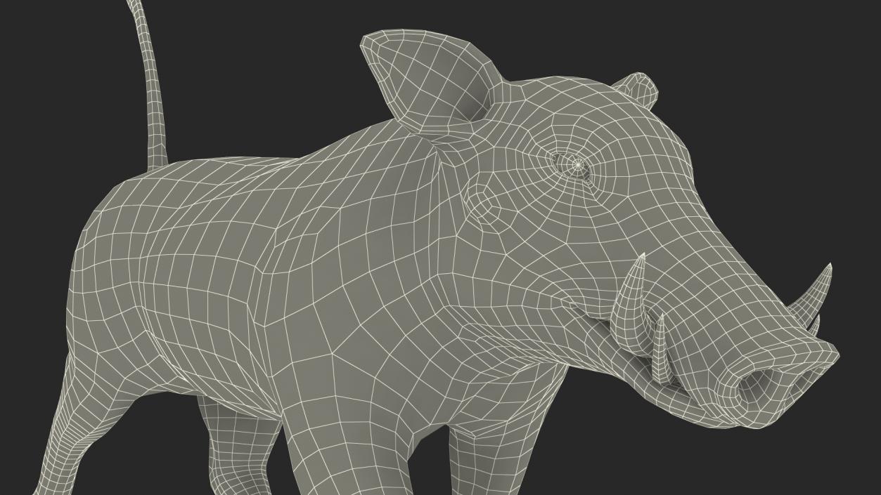 3D African Boar Walking Pose Fur 2