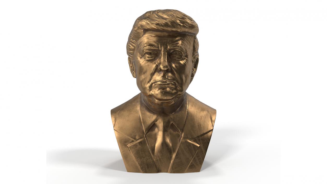 3D Bronze Bust of Trump in Museum Stand