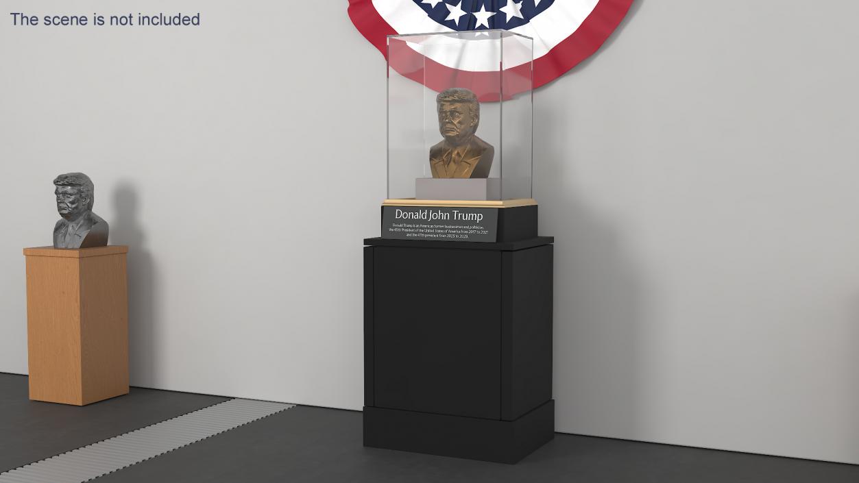 3D Bronze Bust of Trump in Museum Stand