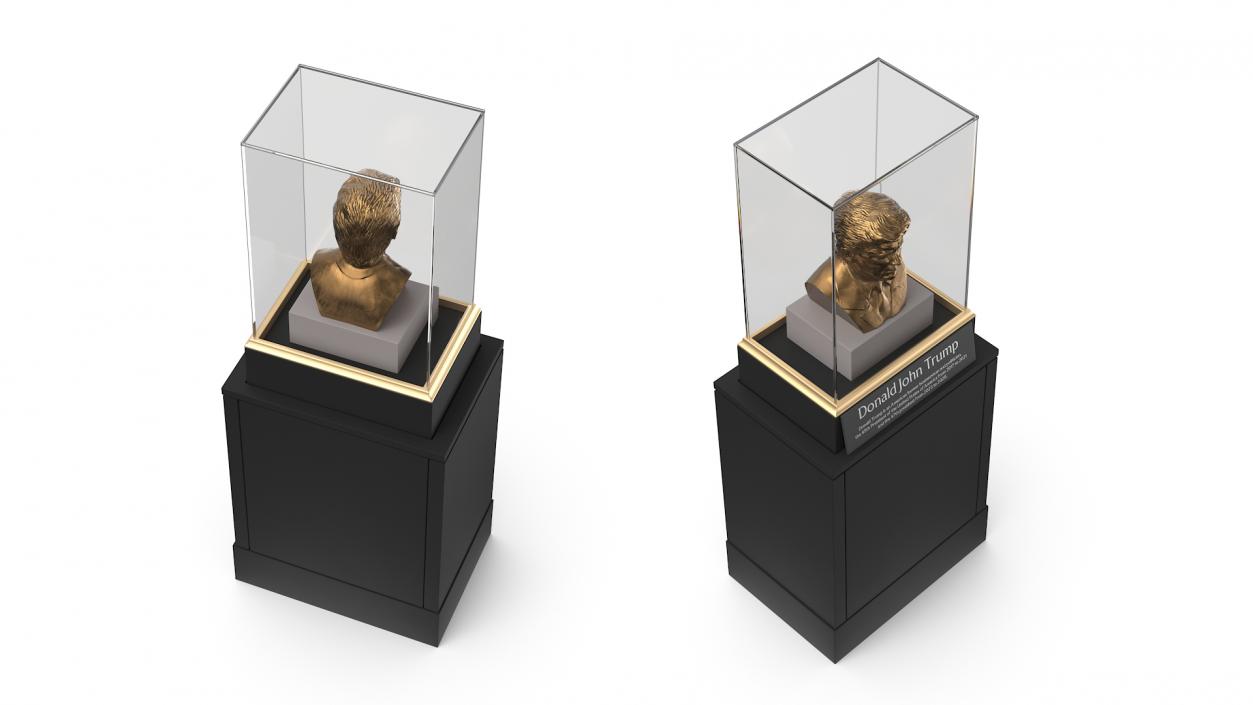 3D Bronze Bust of Trump in Museum Stand