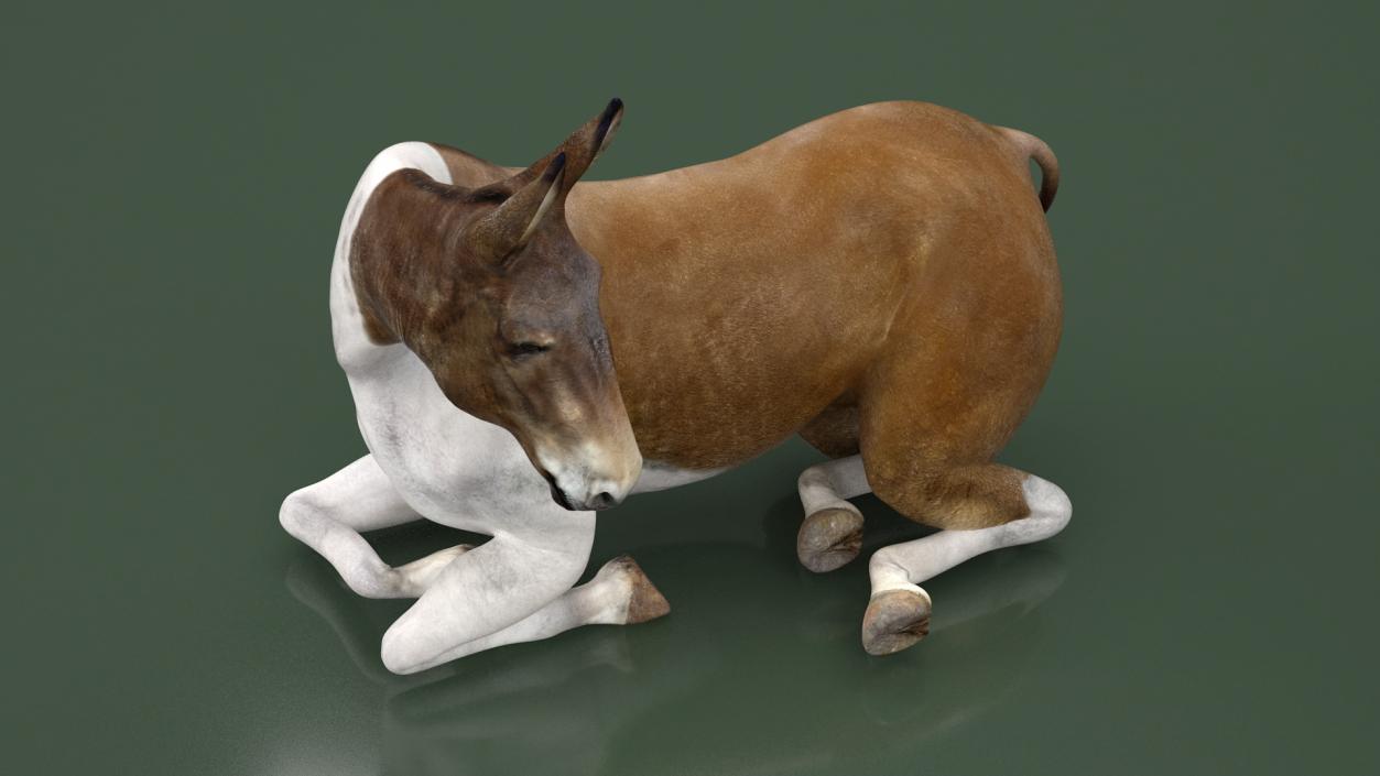 3D Mule Rigged 2 model