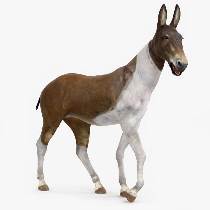 3D Mule Rigged 2 model