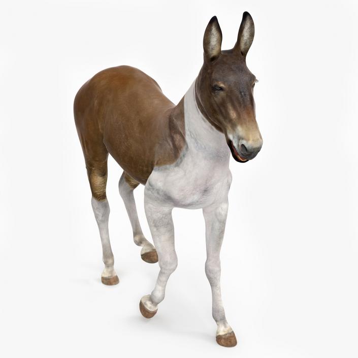 3D Mule Rigged 2 model