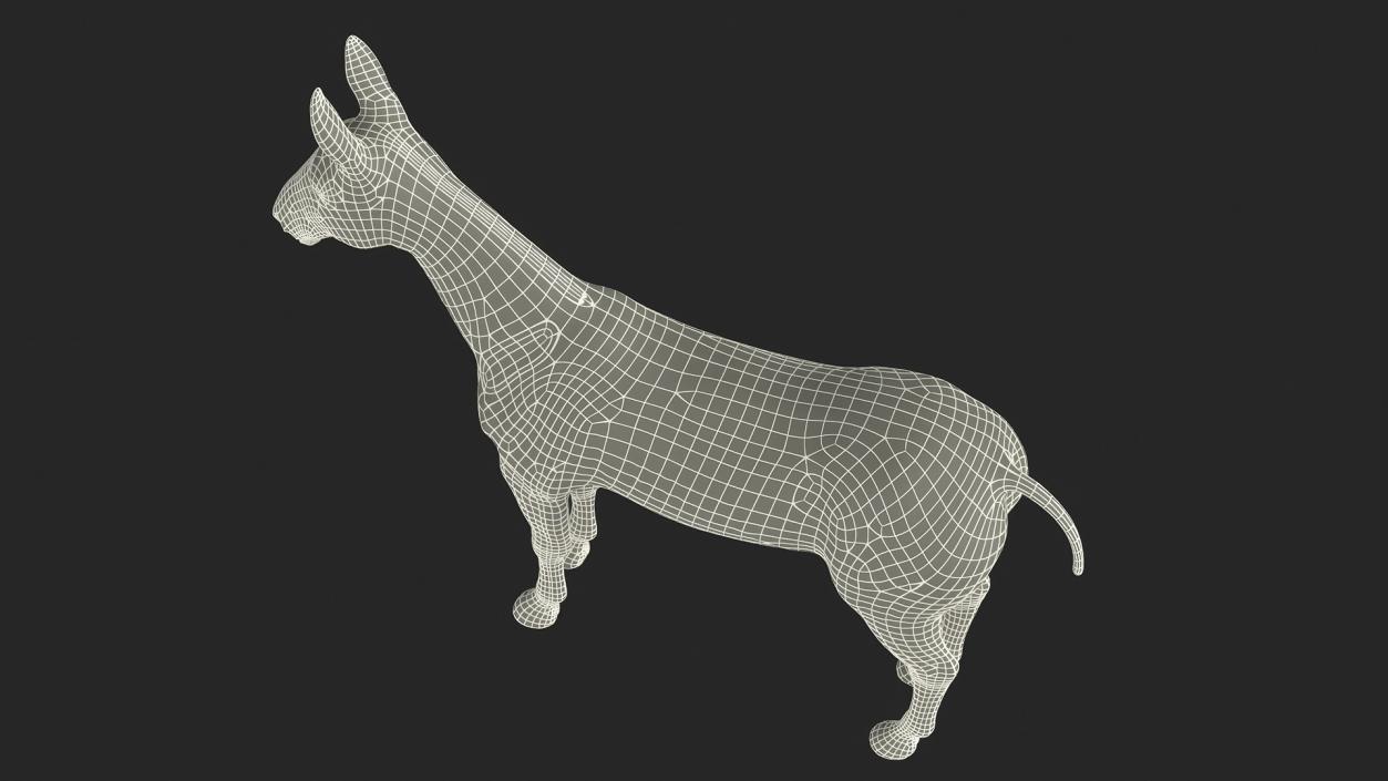 3D Mule Rigged 2 model