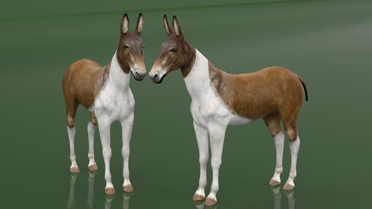 3D Mule Rigged 2 model