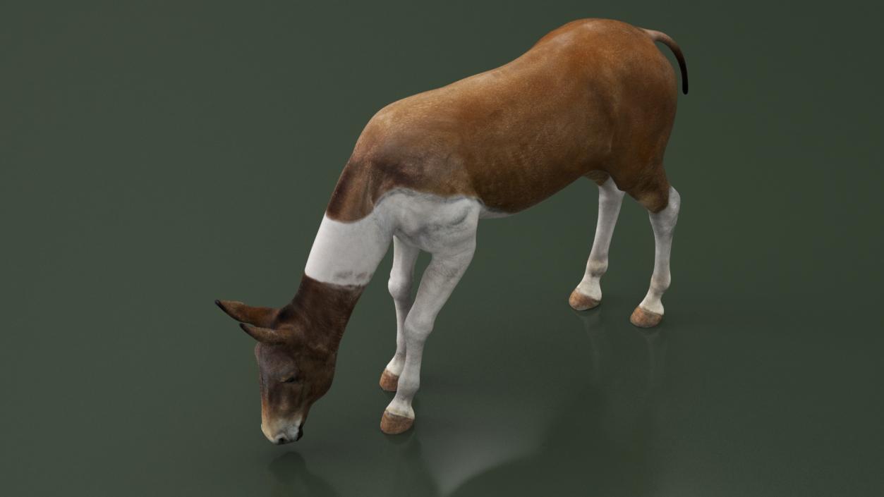 3D Mule Rigged 2 model