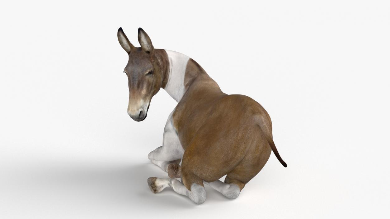 3D Mule Rigged 2 model