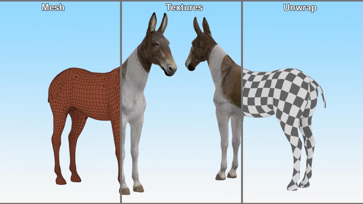 3D Mule Rigged 2 model