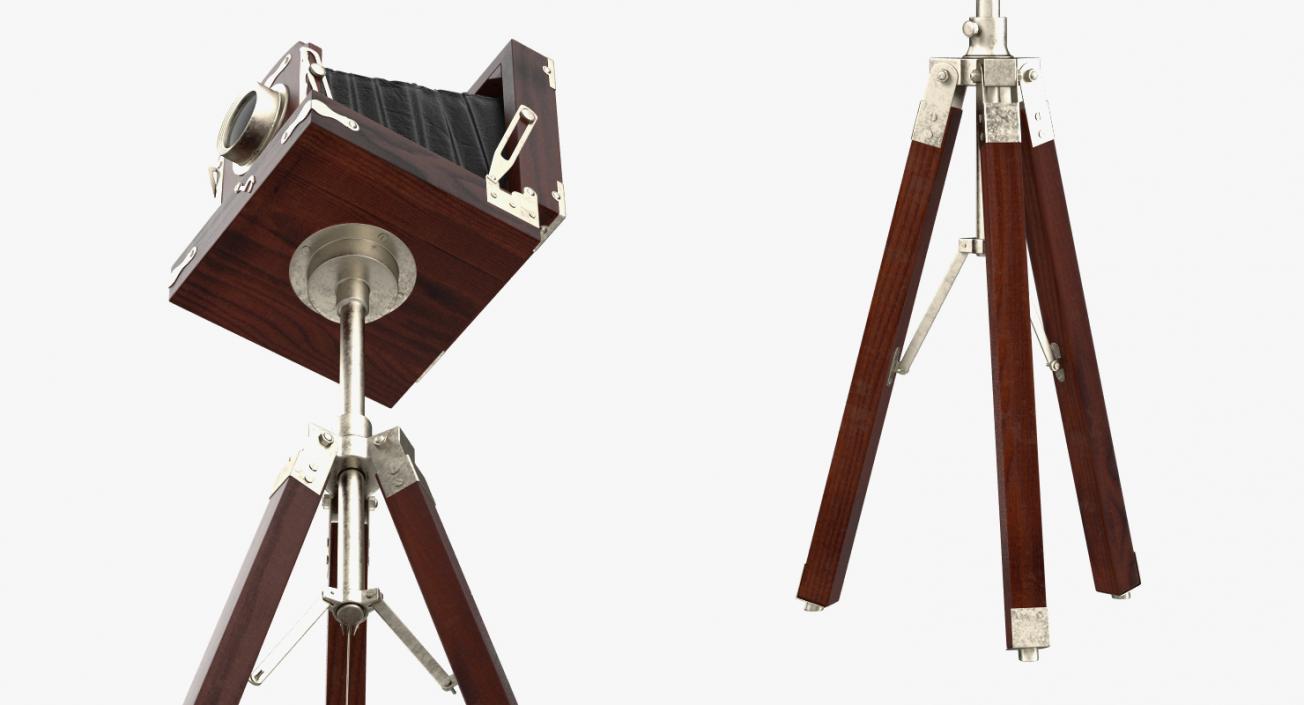 Antique Folding Plate Camera and Tripod 3D model