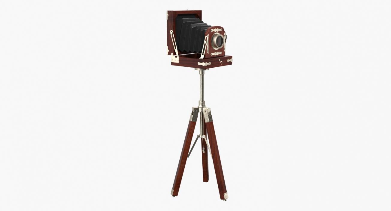 Antique Folding Plate Camera and Tripod 3D model