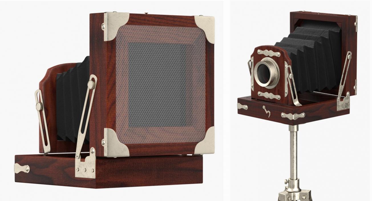 Antique Folding Plate Camera and Tripod 3D model