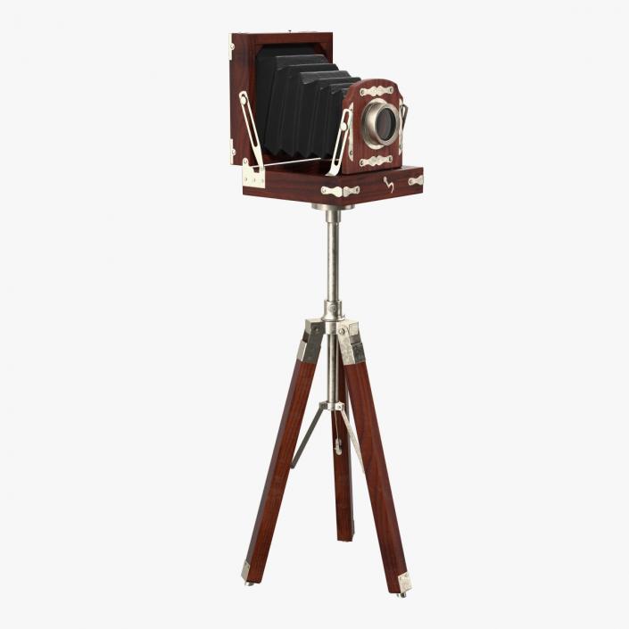 Antique Folding Plate Camera and Tripod 3D model