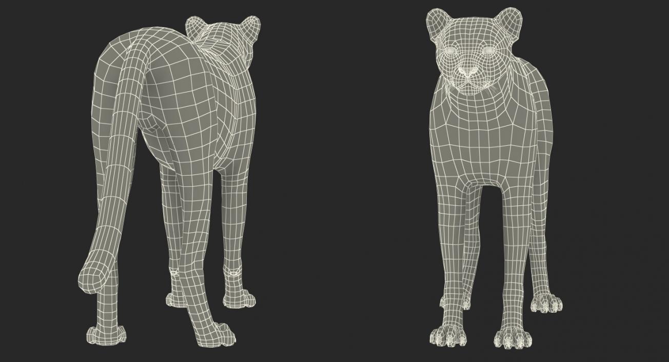 3D Cheetah with Fur