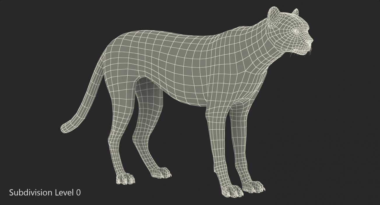 3D Cheetah with Fur