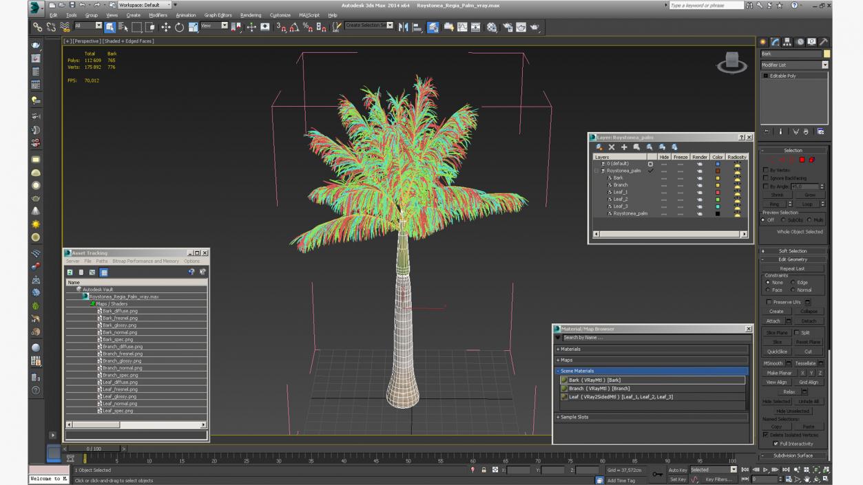 3D model Roystonea Regia Palm