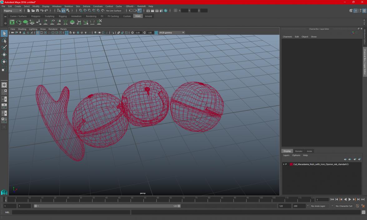 3D model Cut Macadamia Nuts with Iron Opener