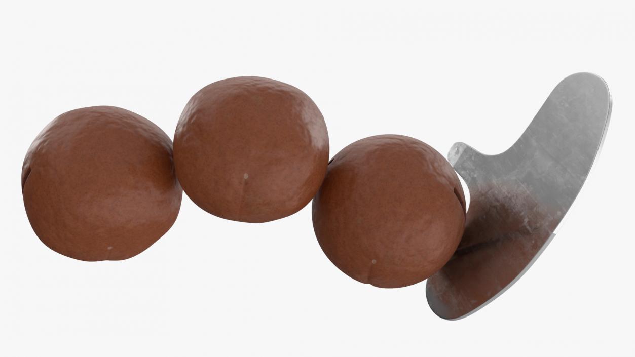 3D model Cut Macadamia Nuts with Iron Opener