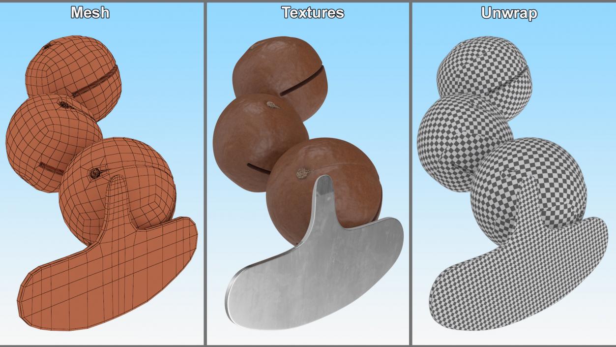 3D model Cut Macadamia Nuts with Iron Opener