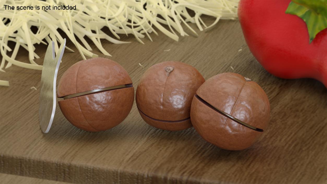 3D model Cut Macadamia Nuts with Iron Opener