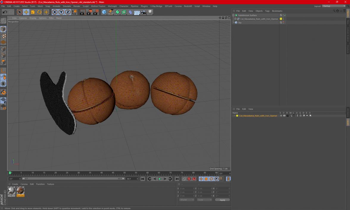 3D model Cut Macadamia Nuts with Iron Opener