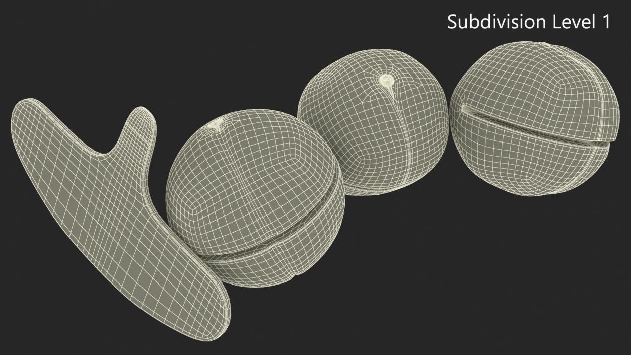 3D model Cut Macadamia Nuts with Iron Opener