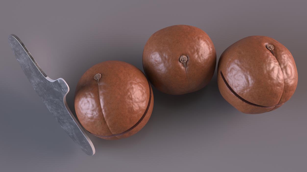 3D model Cut Macadamia Nuts with Iron Opener