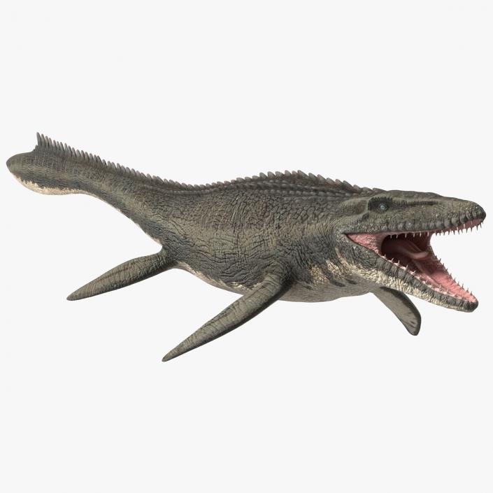 3D Mosasaurus Rigged for Maya