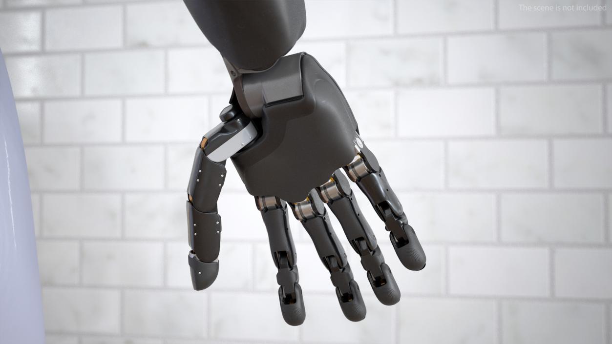 Brain Controlled Prosthetic Arms 3D