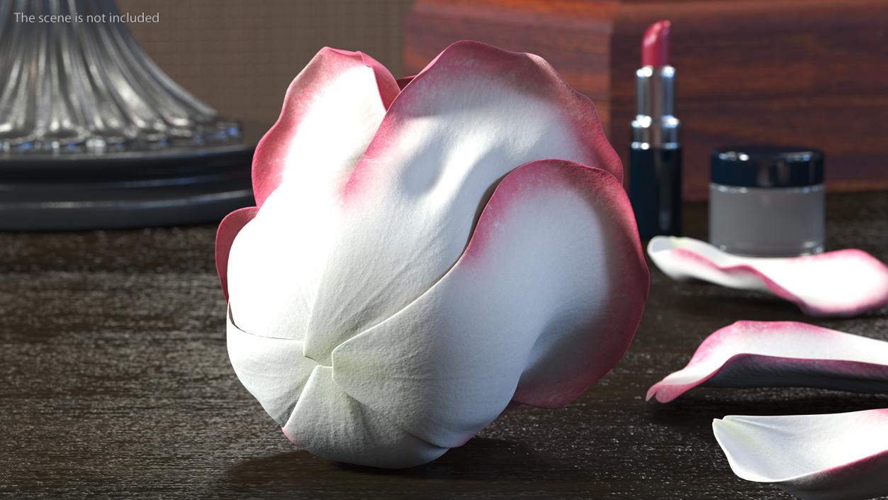 3D Rose Bud Pink model