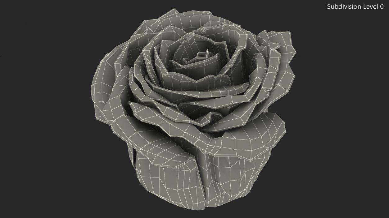 3D Rose Bud Pink model