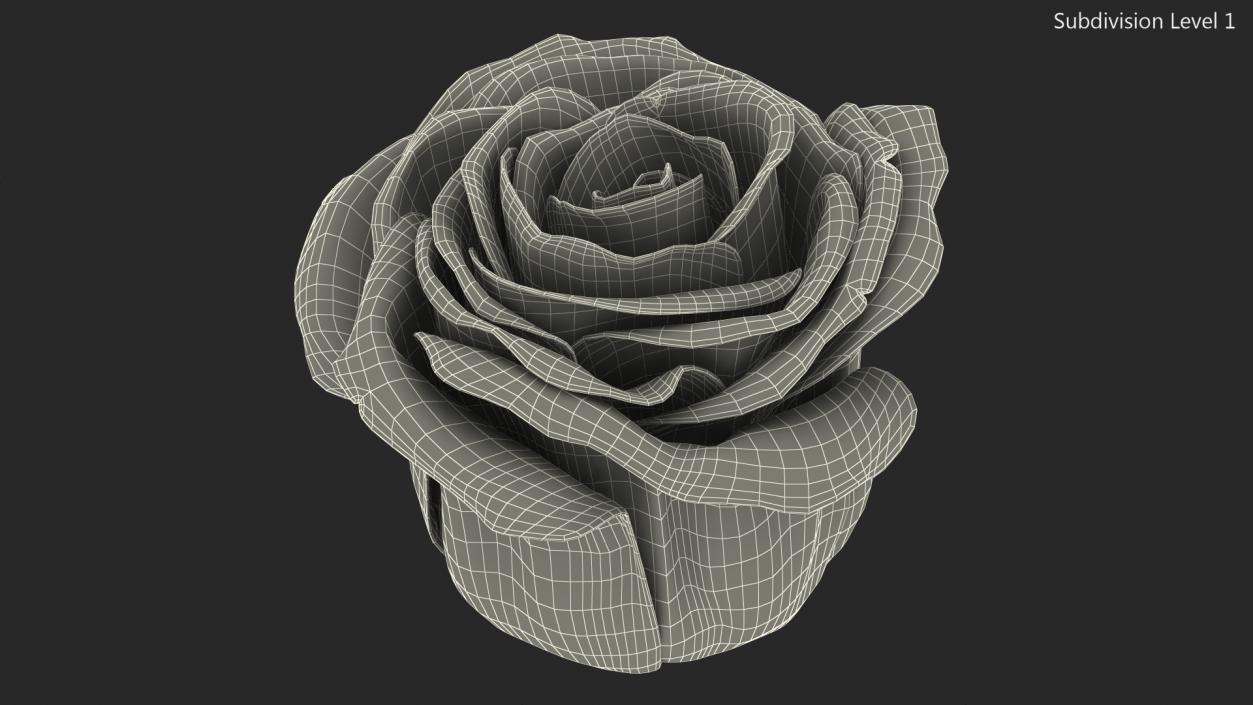 3D Rose Bud Pink model