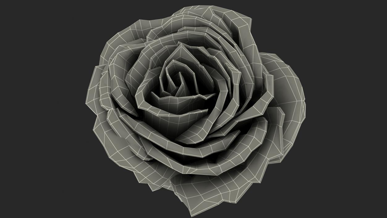 3D Rose Bud Pink model