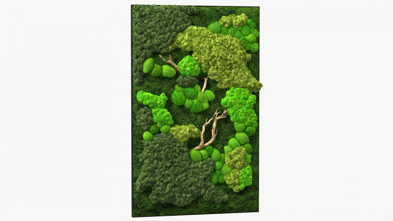 3D Indoor Plantscape Moss Wall Fur