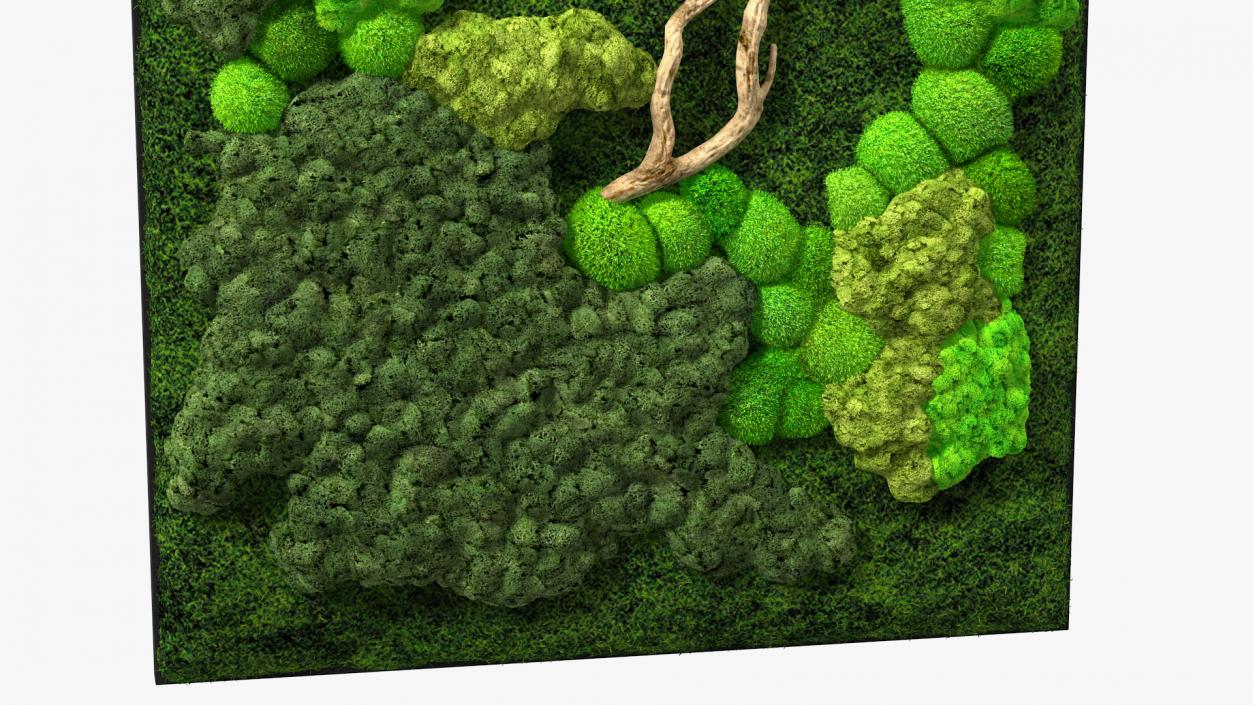 3D Indoor Plantscape Moss Wall Fur