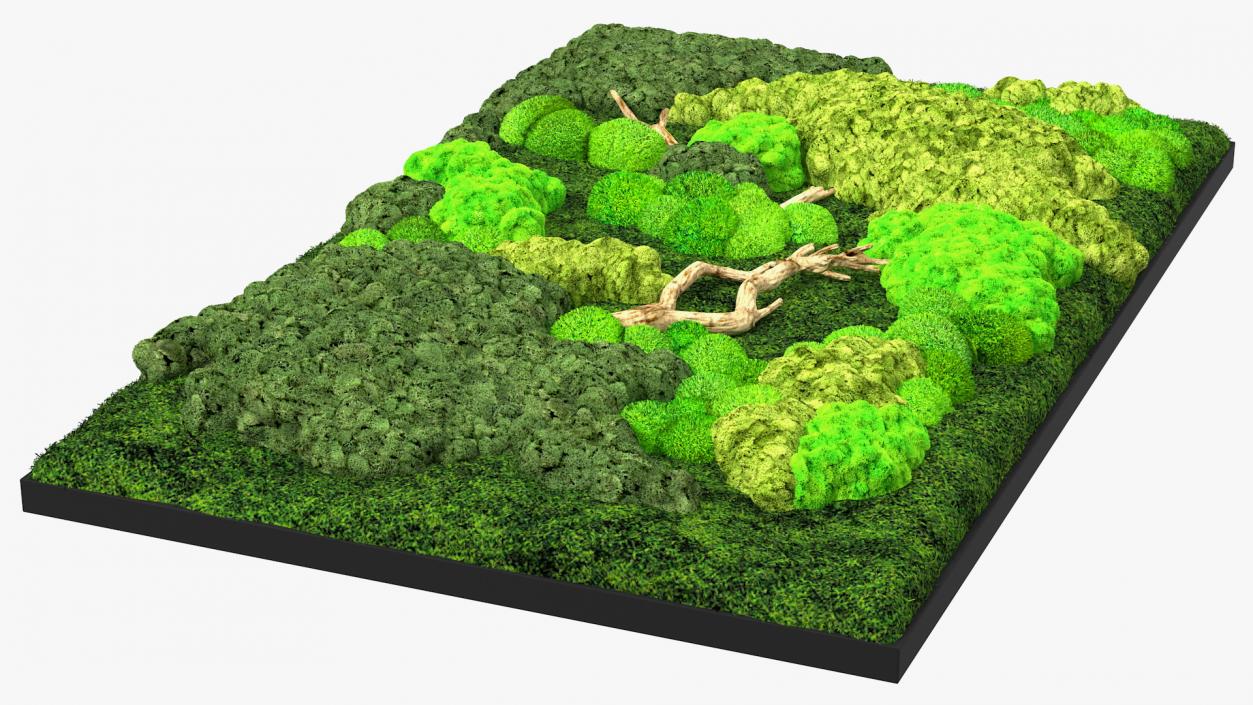 3D Indoor Plantscape Moss Wall Fur