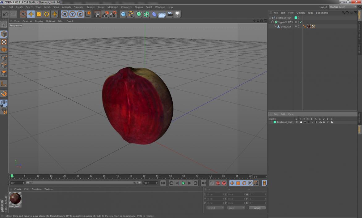 3D Beetroot Half model