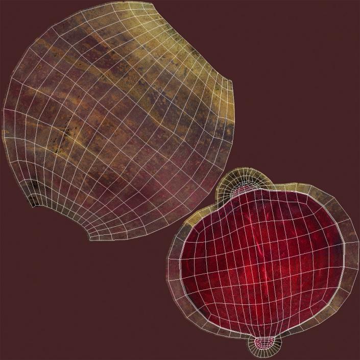 3D Beetroot Half model