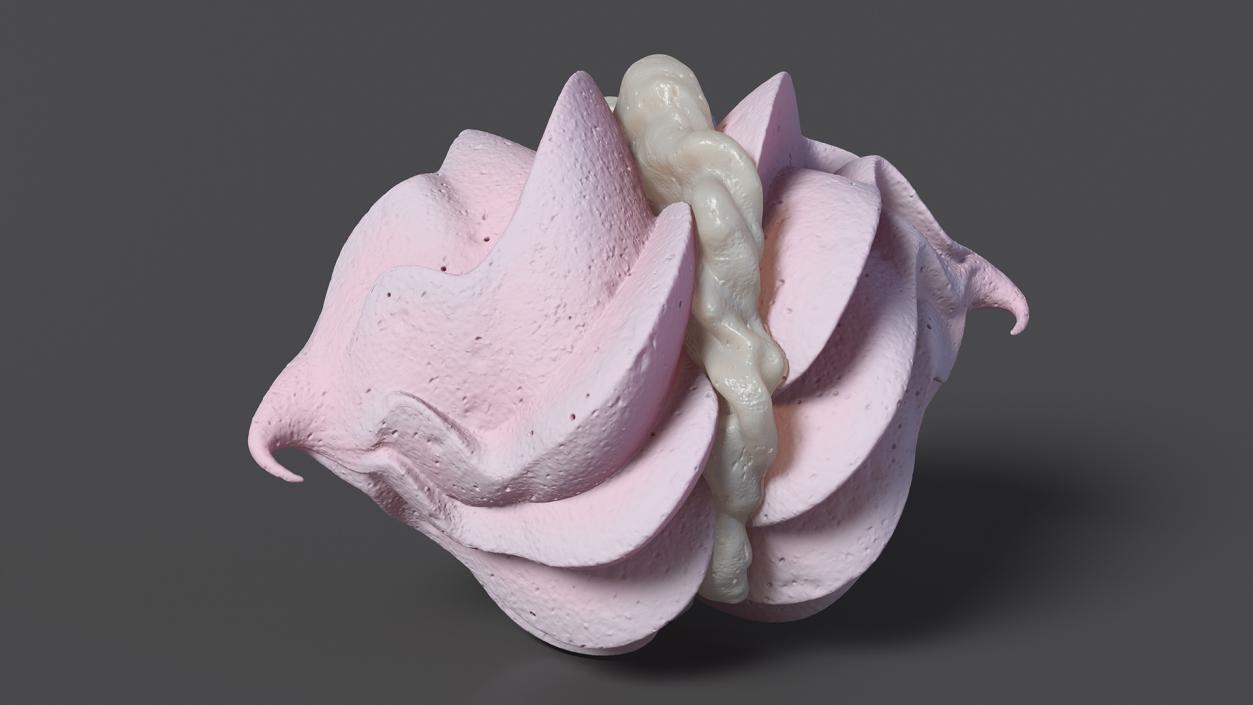 Meringue Cookies Collection 5 3D model