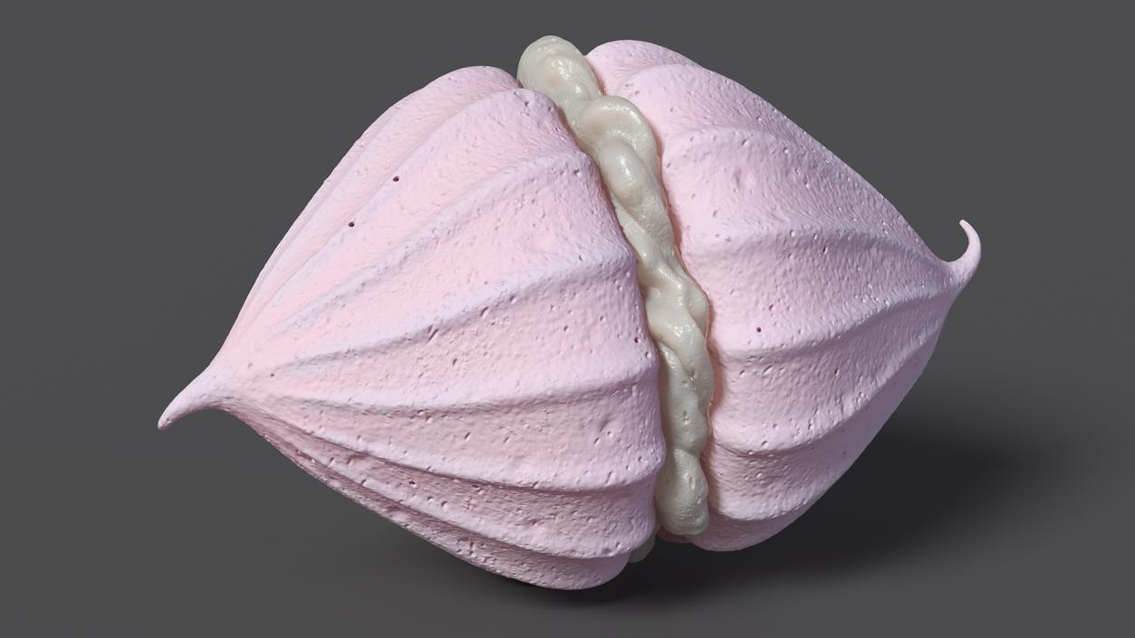 Meringue Cookies Collection 5 3D model