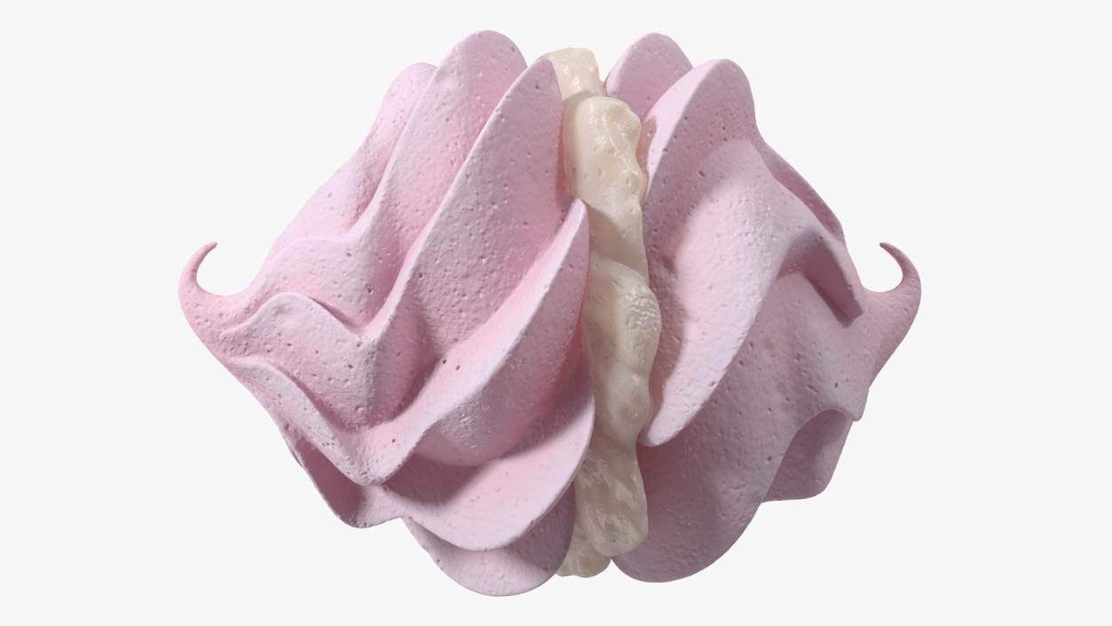 Meringue Cookies Collection 5 3D model