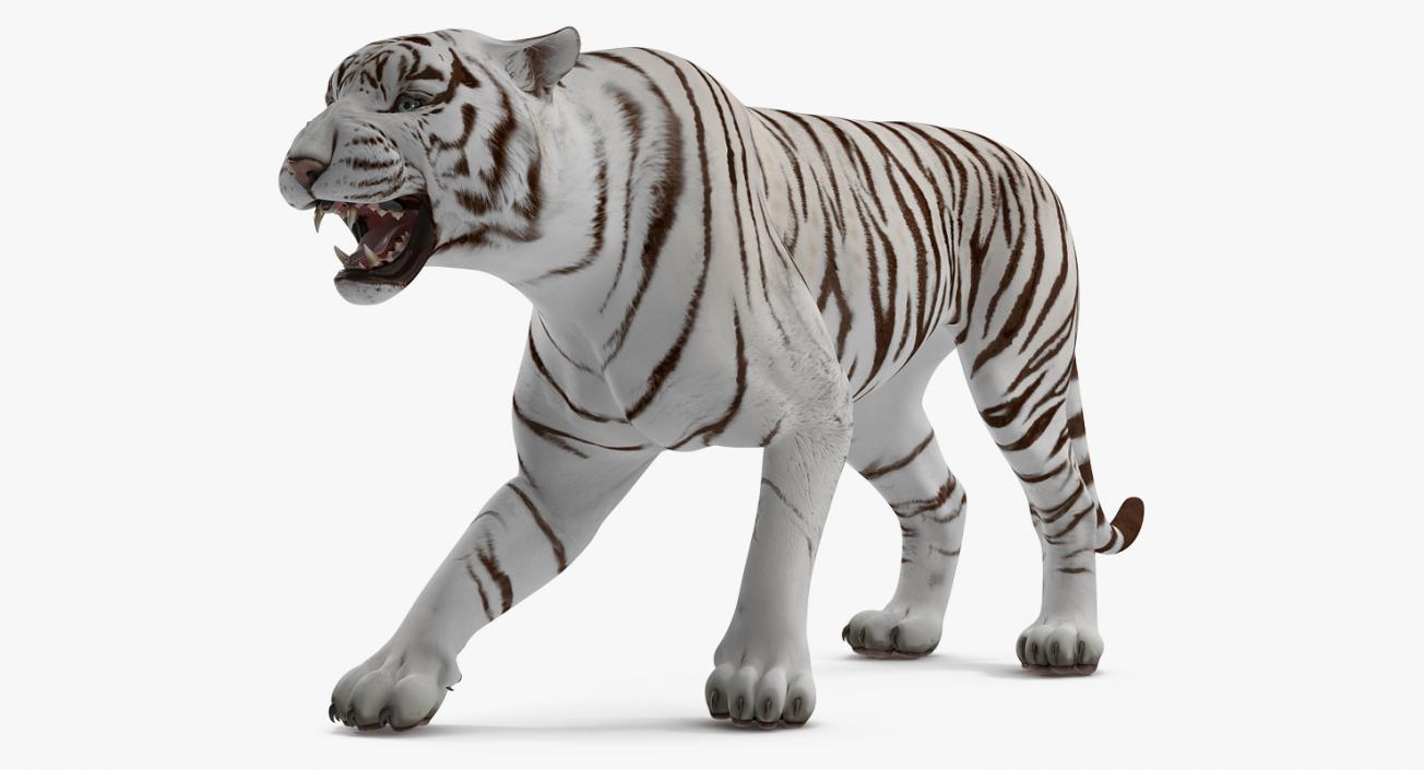 3D White Tiger Roar