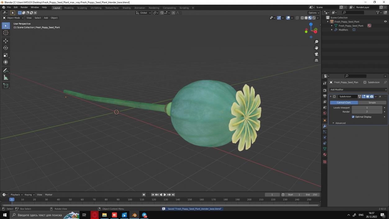 Fresh Poppy Seed Plant 3D