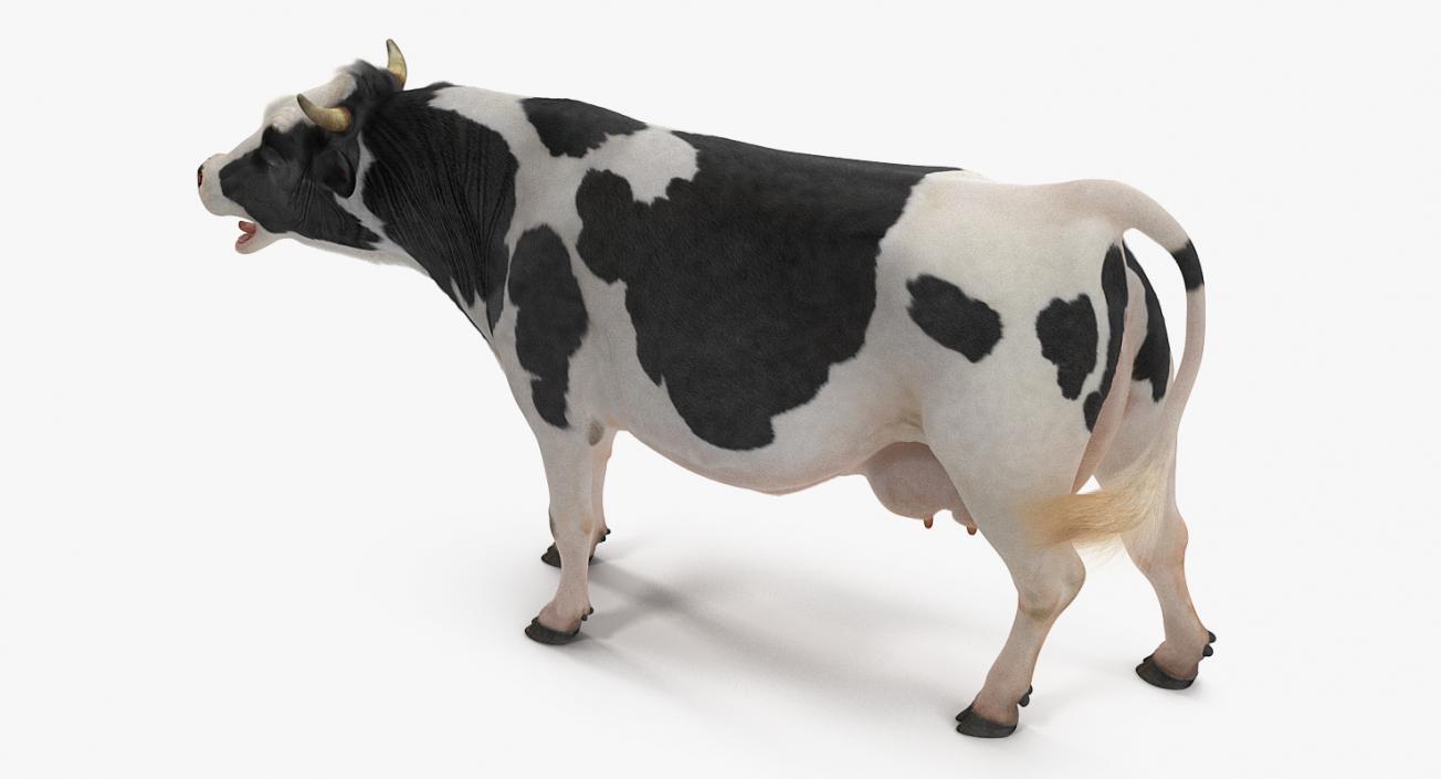 3D Animated Cow Collection model