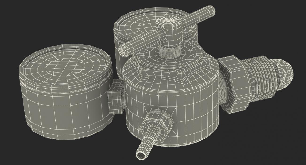 3D Argon Pressure Regulator with Gas Hose model