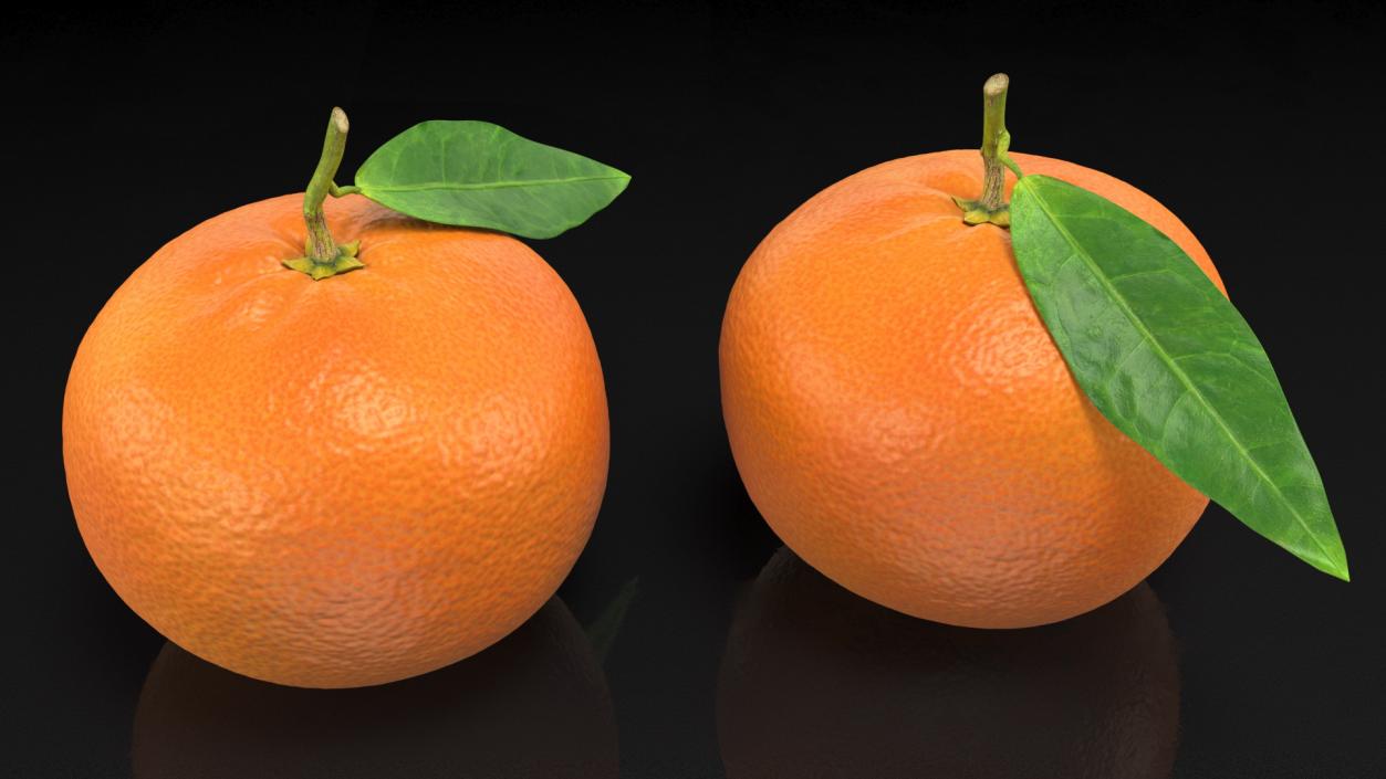 3D Mandarin with Leaf model