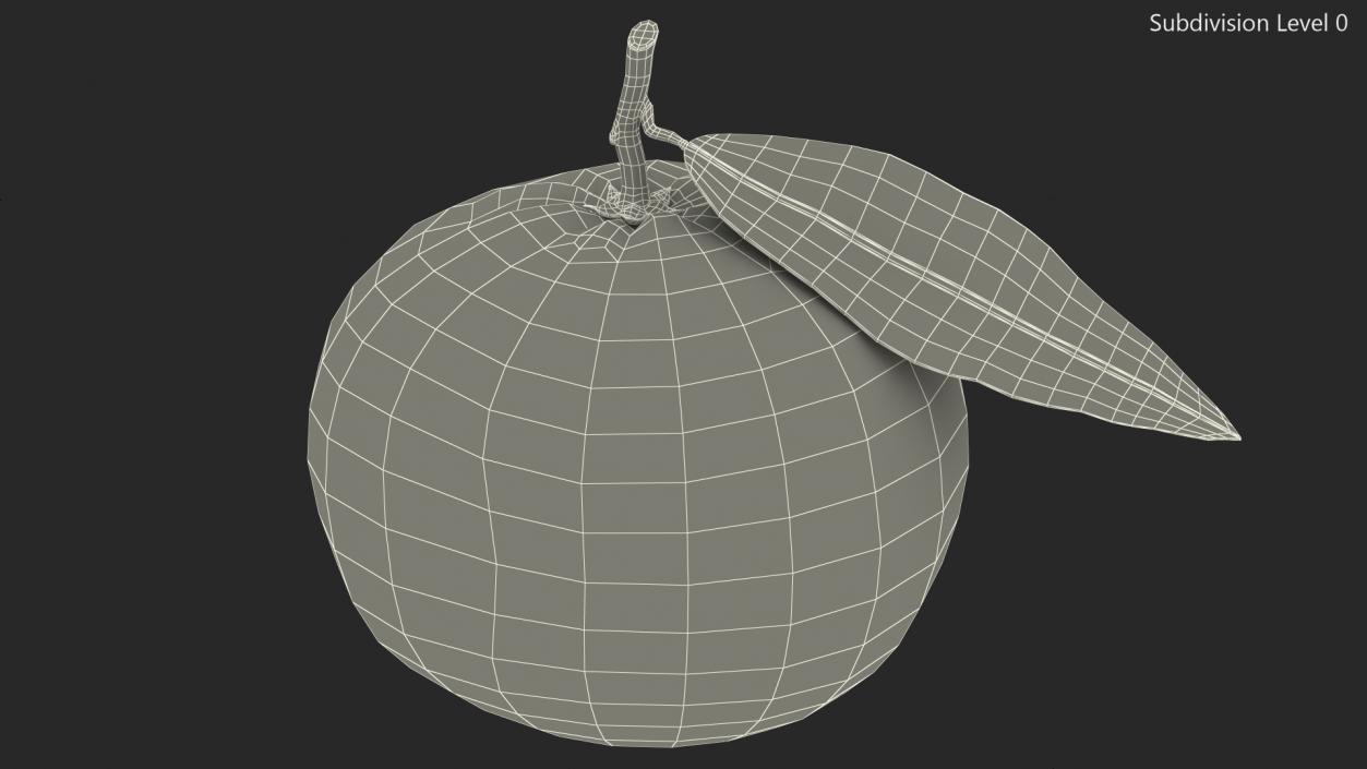 3D Mandarin with Leaf model