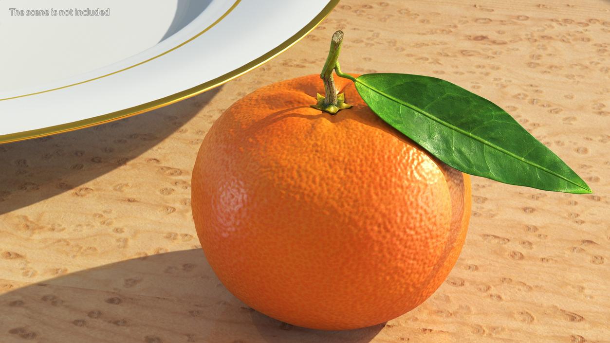 3D Mandarin with Leaf model