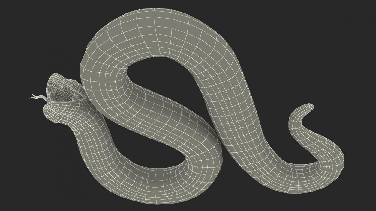 3D Beige Hognose Snake Attack Pose