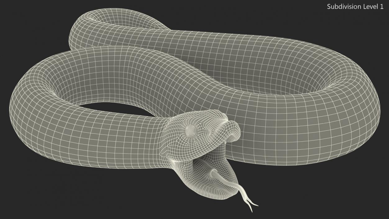 3D Beige Hognose Snake Attack Pose