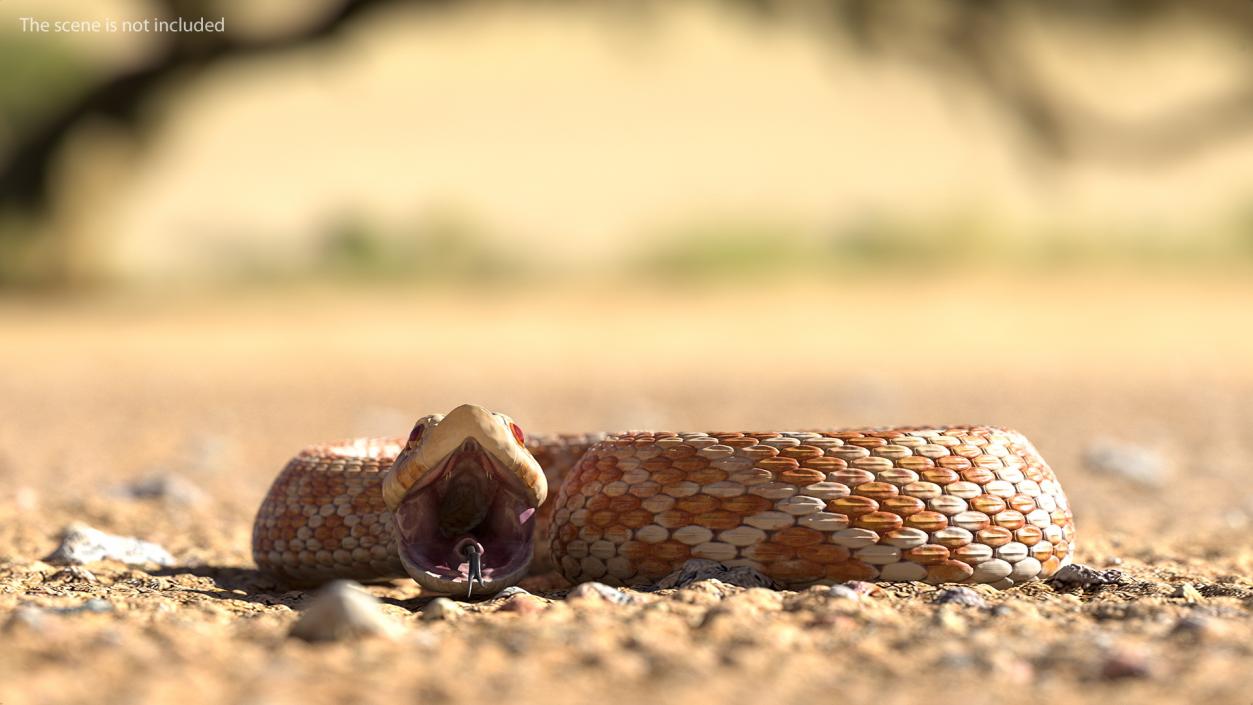 3D Beige Hognose Snake Attack Pose